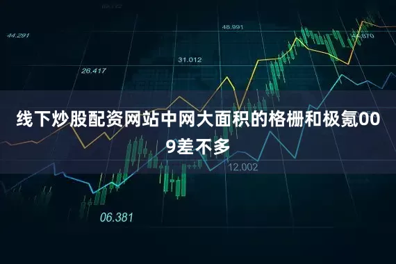 线下炒股配资网站中网大面积的格栅和极氪009差不多