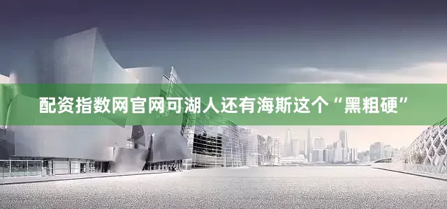 配资指数网官网可湖人还有海斯这个“黑粗硬”